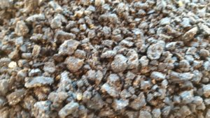 20161231_155359-300x169 Kandierte Oliven und Oliven Kiesel