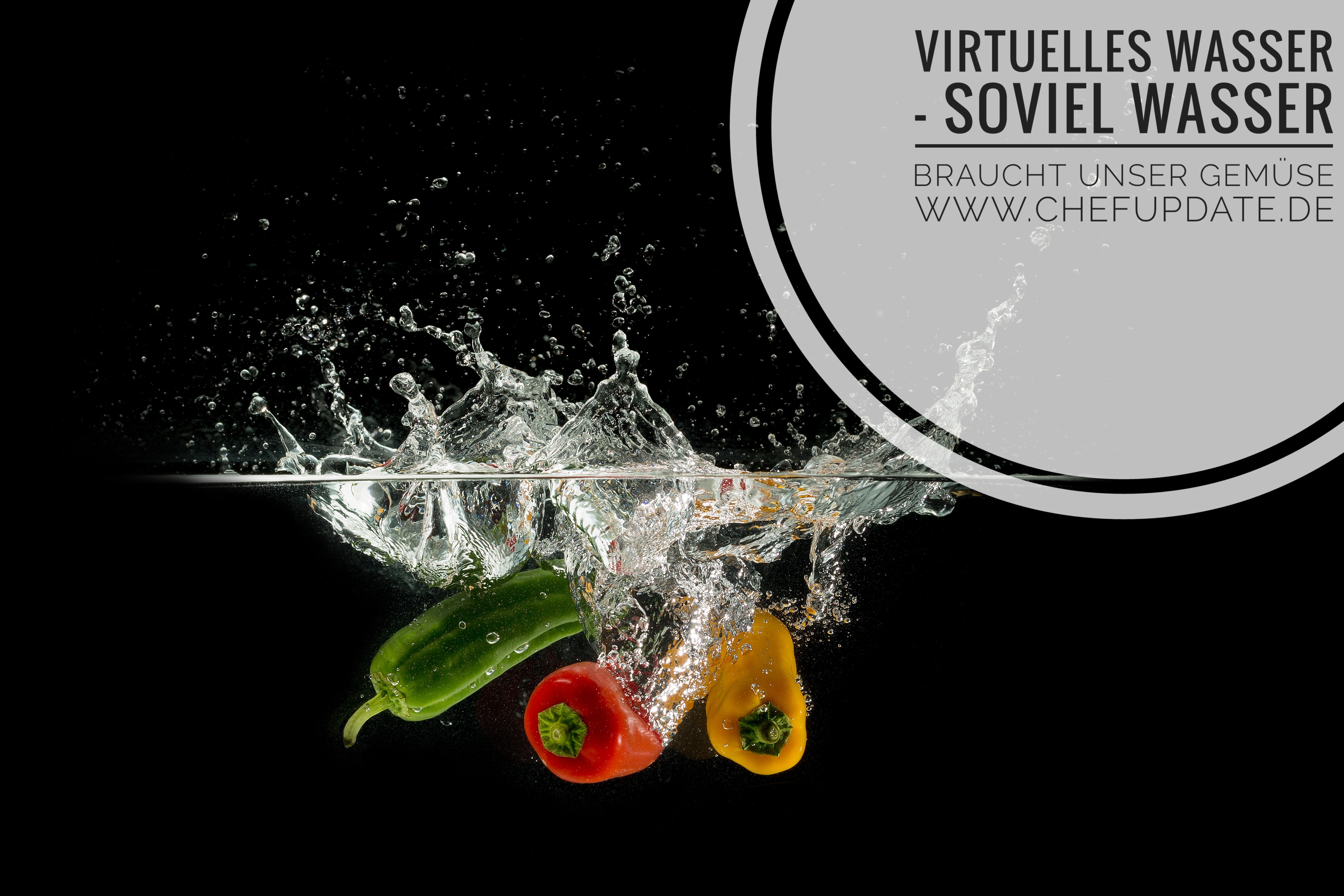 Virtuelles Wasser – Soviel Wasser brauchten unsere Lebensmittel
