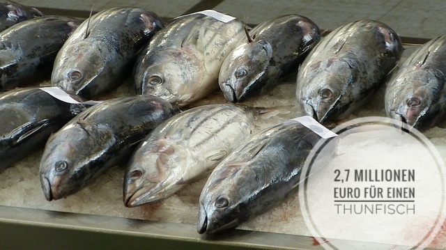 2,7 Millionen Euro für einen Thunfisch