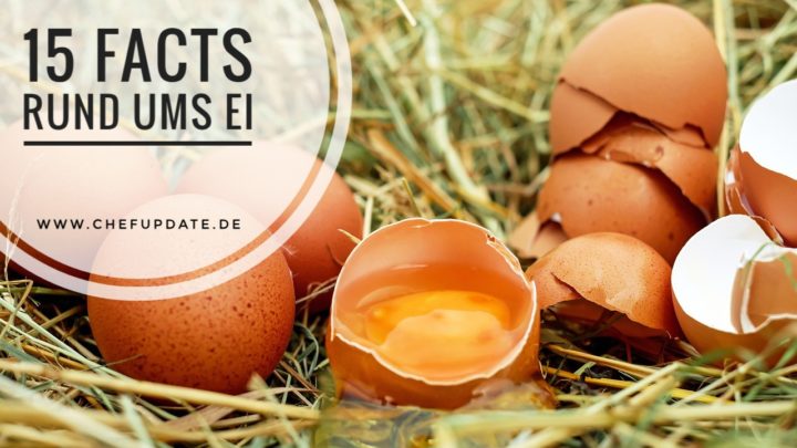 15 Facts rund ums Ei