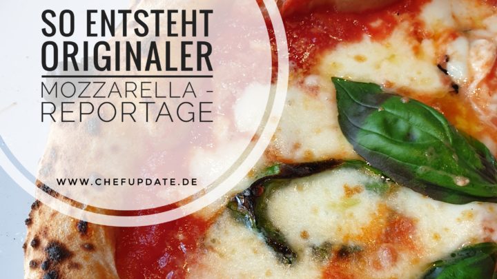 So entsteht originaler Mozzarella – Reportage