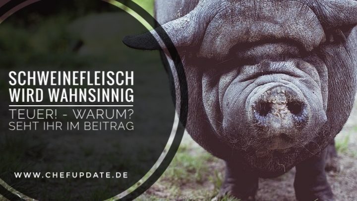 Schweinefleisch wird wahnsinnig teuer! – Warum? Seht ihr im Beitrag