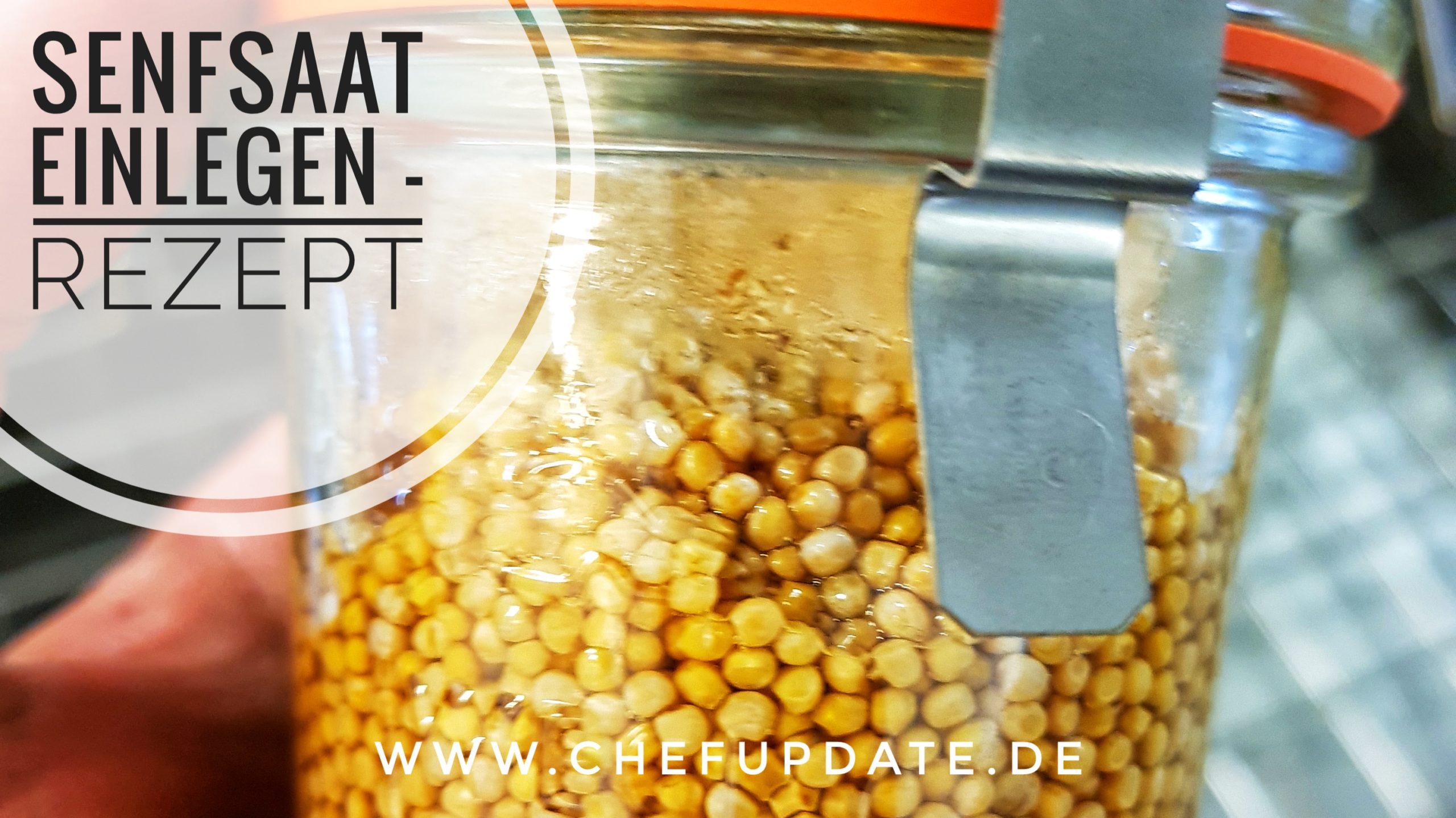 Senfsaat einlegen – Deko Senfsaat einlegen – Deko