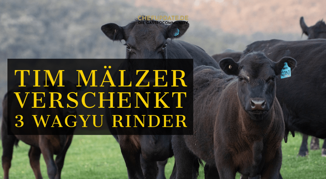 Tim Mälzer verschenkt 3 Wagyu Rinder