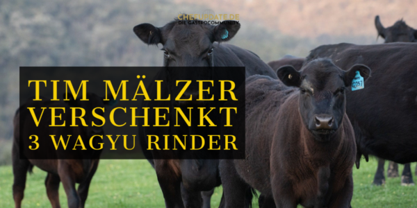 Tim Mälzer verschenkt 3 Wagyu Rinder