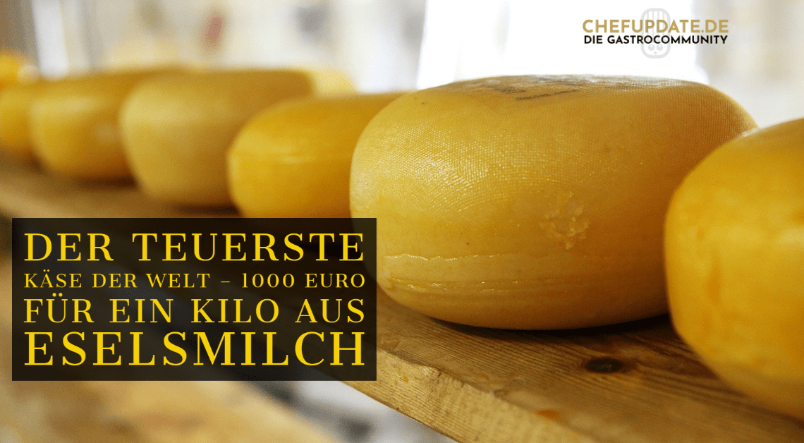 Der teuerste Käse der Welt – 1000 Euro für ein Kilo aus Eselsmilch