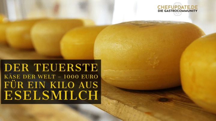 Der teuerste Käse der Welt – 1000 Euro für ein Kilo aus Eselsmilch